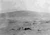1902 Kill Devill Hill.jpg (50193 bytes)